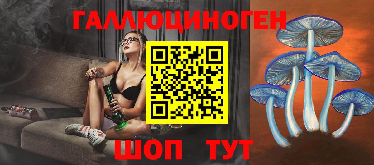 Галлюциногенные грибы GOLDEN TEACHER  цена наркотик  Вход с VPN  Евпатория  Галлюциногенные грибы мухоморы 