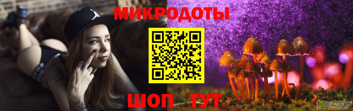 Галлюциногенные грибы мицелий Евпатория